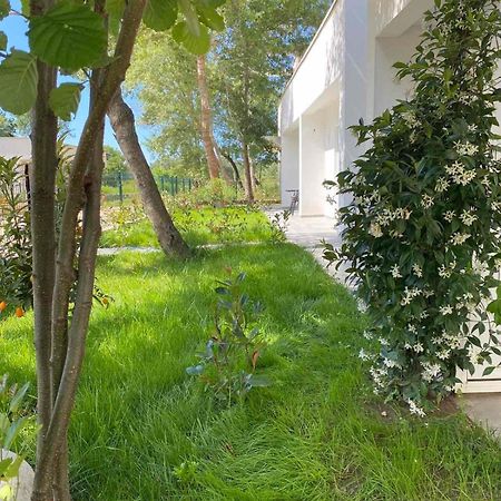 Villa Hanna Ulcinj Exteriör bild