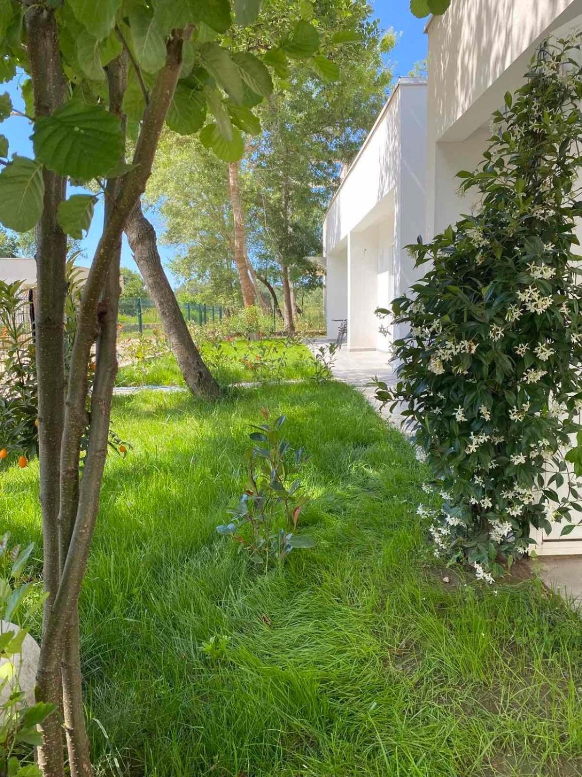 Villa Hanna Ulcinj Exteriör bild